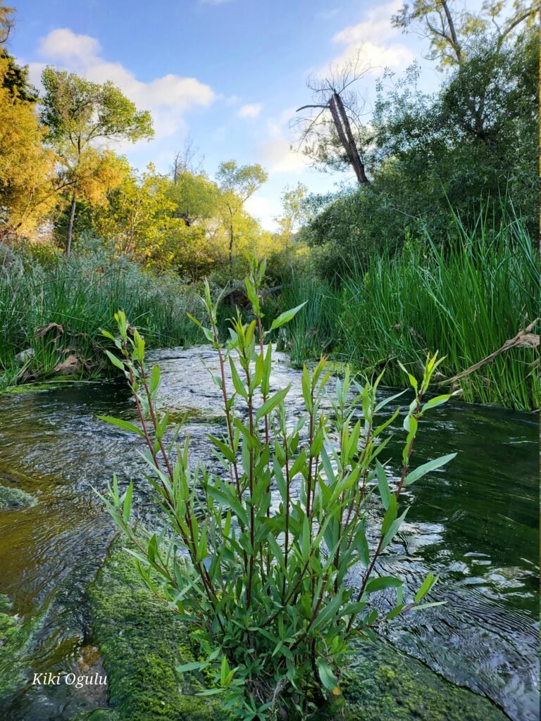 20230511_184001 (1)-min